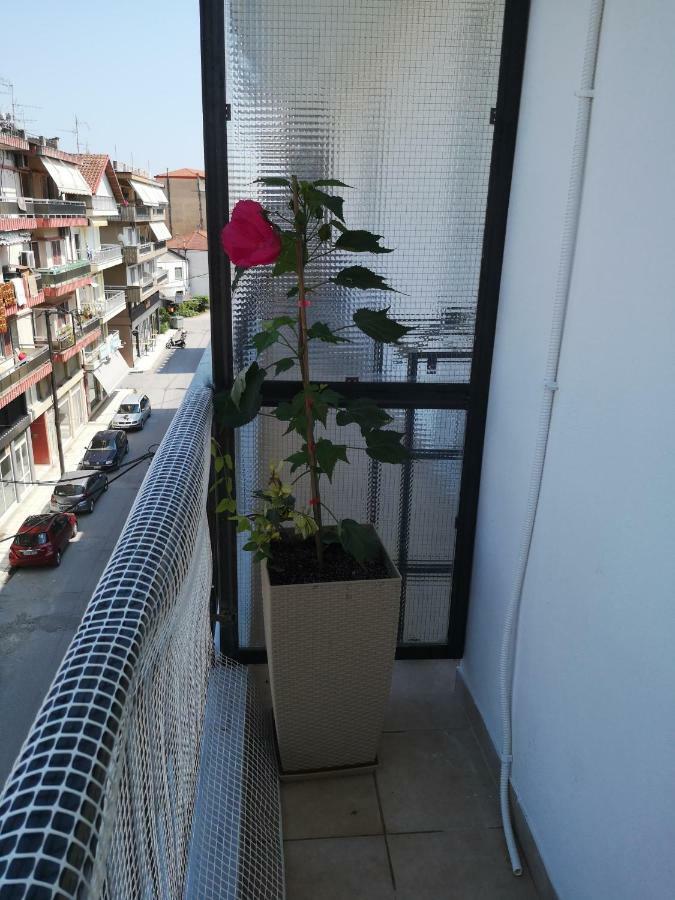 Alexandros Apartment อาริเดยา ภายนอก รูปภาพ